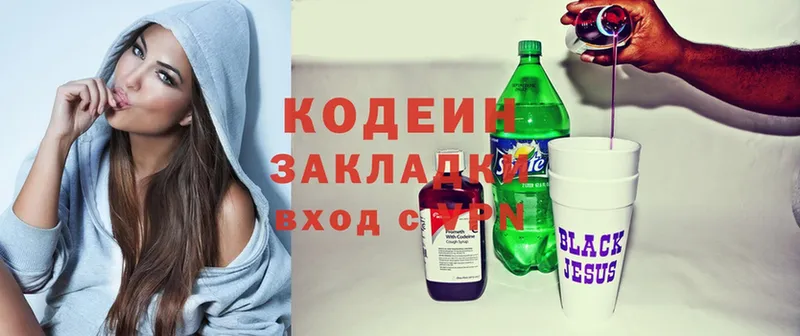 купить закладку  Петропавловск-Камчатский  Кодеиновый сироп Lean Purple Drank 